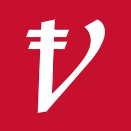 Viganium Software Company logo
